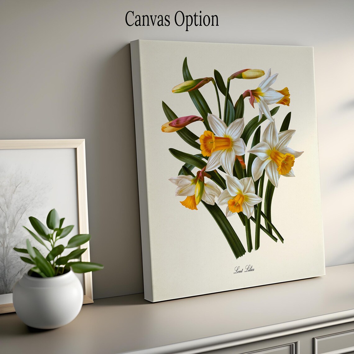 Lent Lilies Botanical Art Print, Yellow White - Image 2