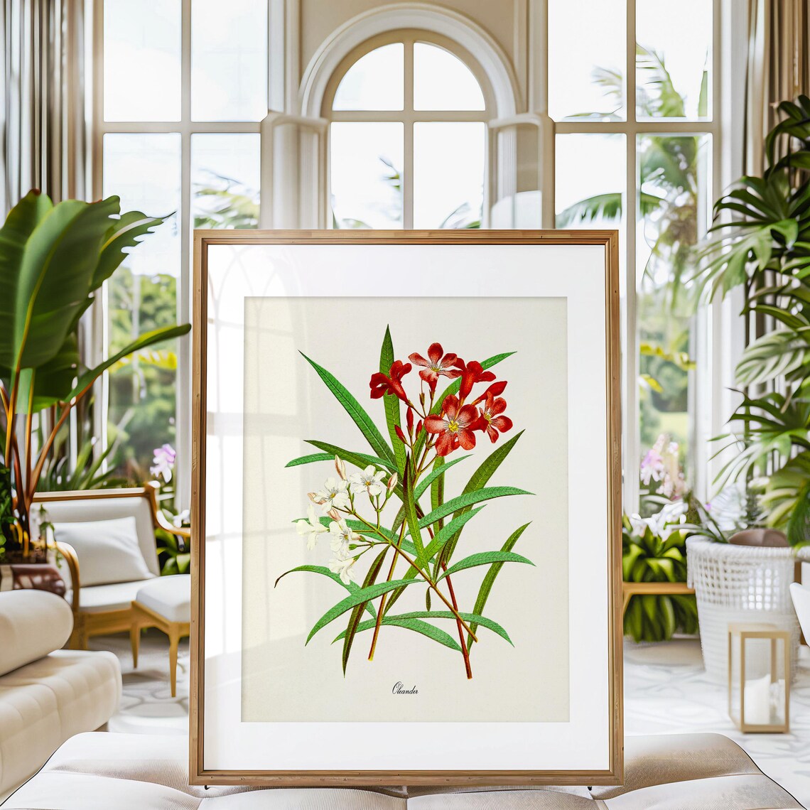 Oleander Flower Botanical Art Print, Floral Decor - Image 3