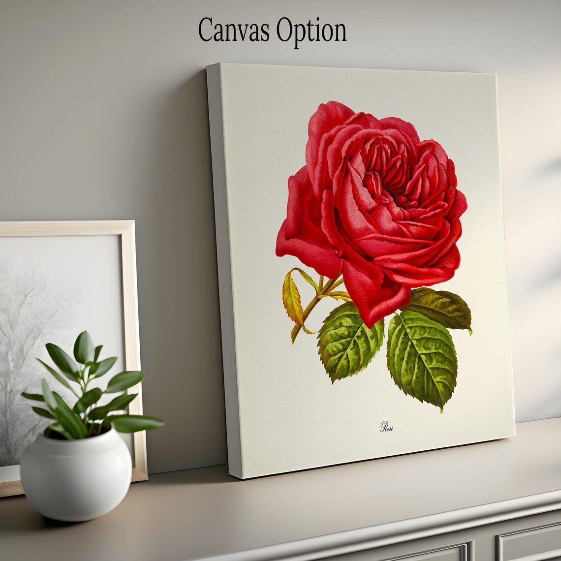 Red Rose Botanical Art Print, Floral Home Decor - Image 2