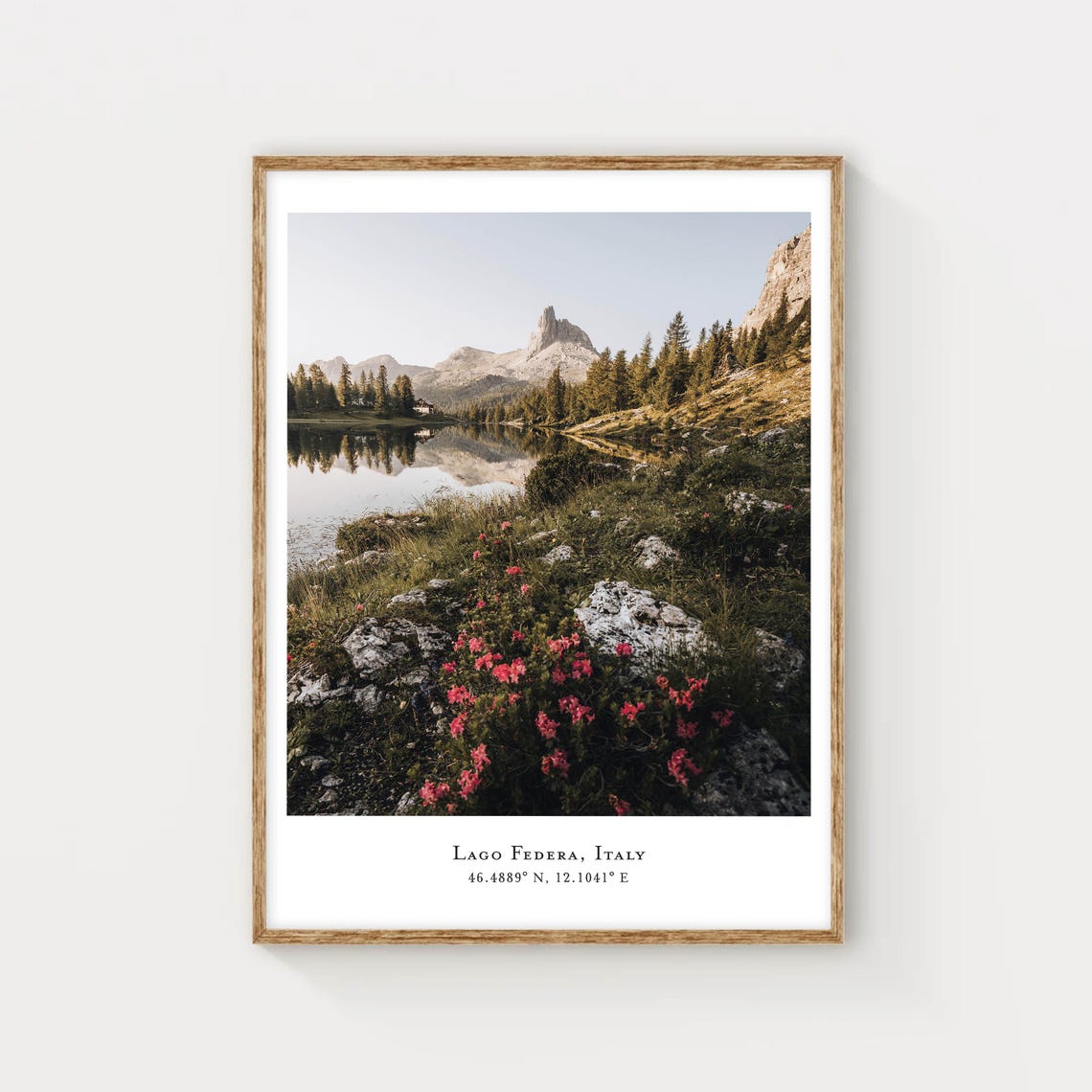 Lago Federa Dolomites Italy Pink Rhododendrons Mirror Peak Poster