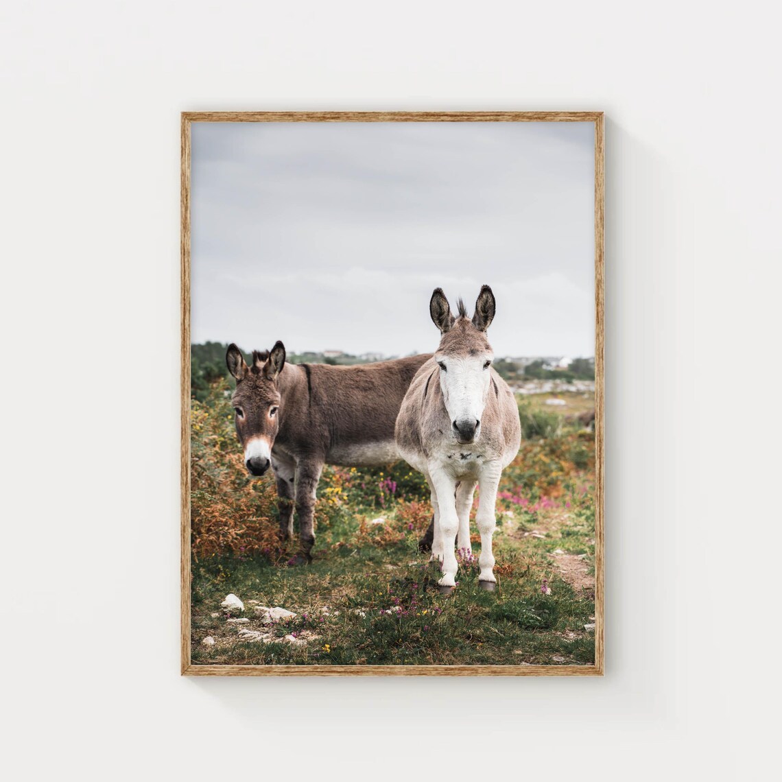 Donkeys In Connemara, Irish Countryside Art Print