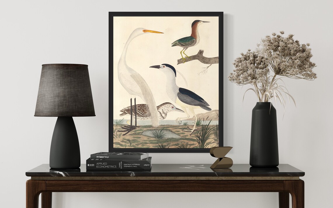 Great White Egret Green Heron Bird Vintage Ornithology Wall Art - Image 3