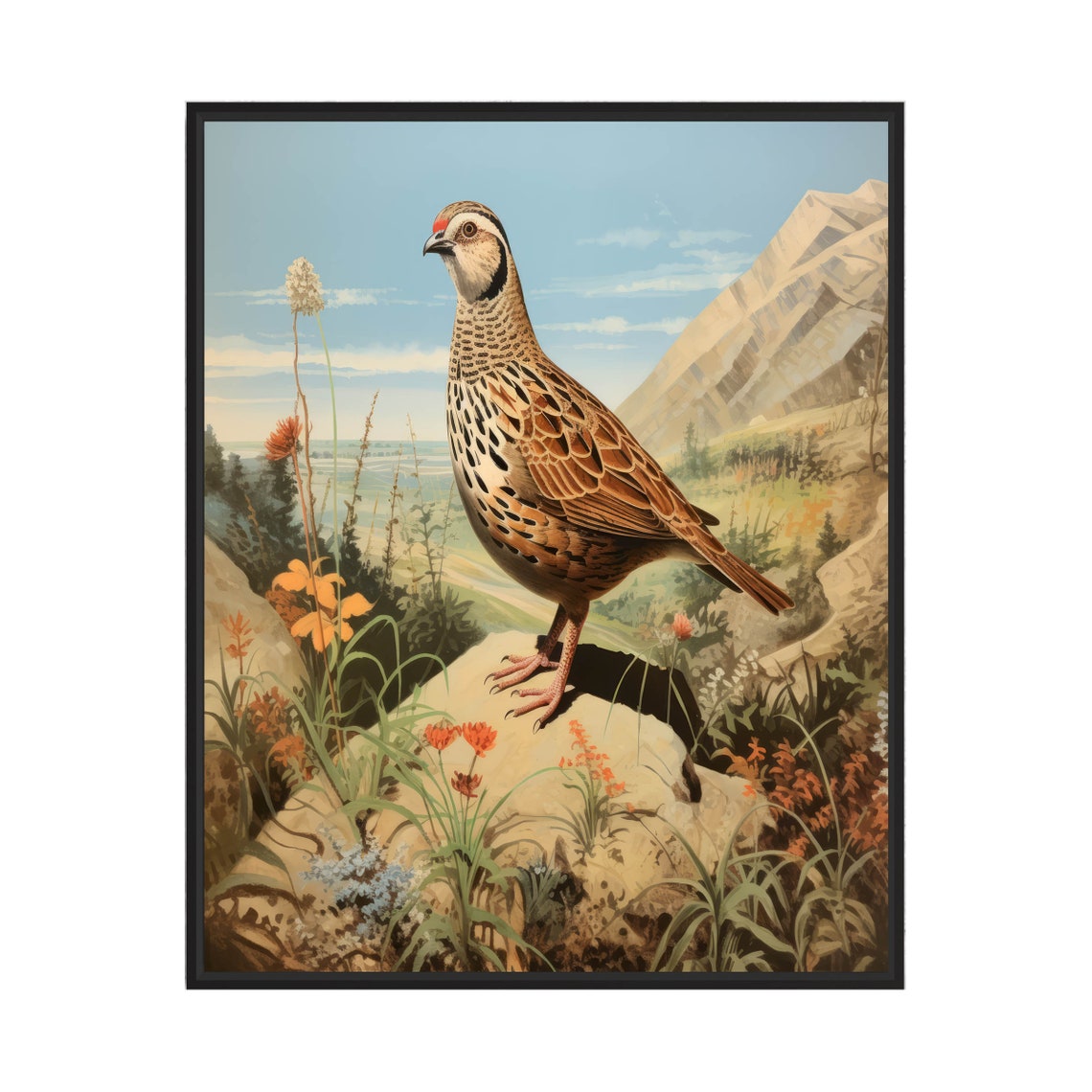 Common Quail Standing on a Rocky Ledge in a Wildflower Mountain Poster