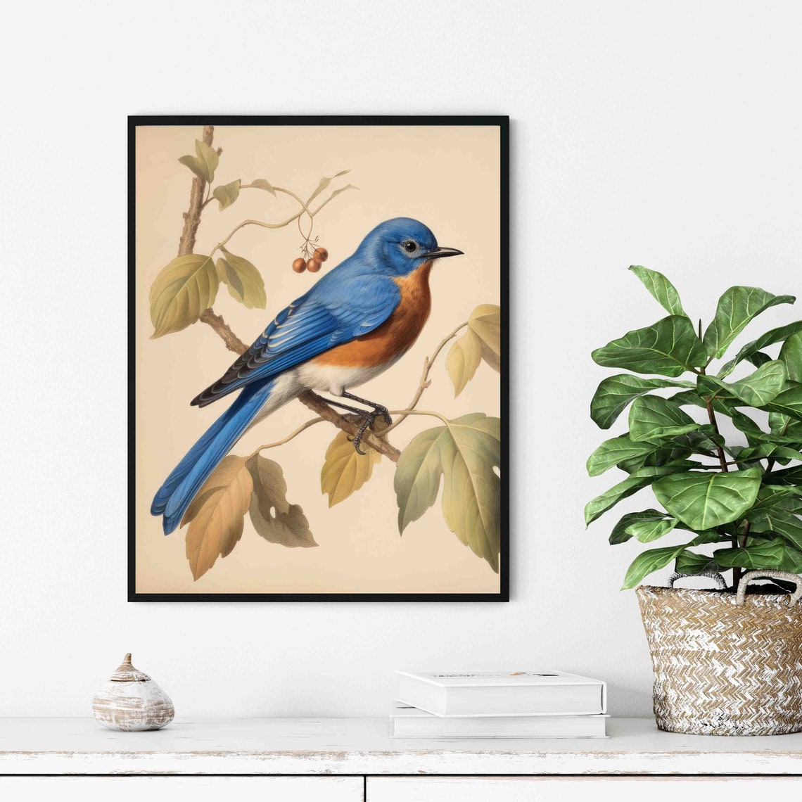Bluebird Vintage Botanical Bird Illustration Ornithology Art Print - Image 3