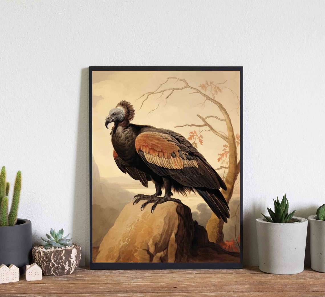 Vulture Vintage Naturalist Illustration Perched Rock Bird Poster - Image 3