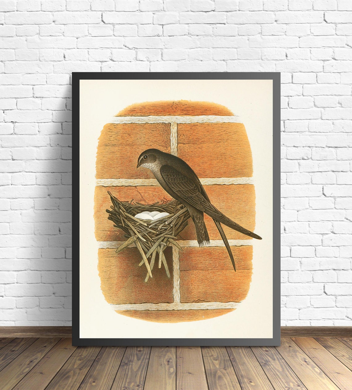 Chimney Swift Tending Its Nest at the Chimney Vintage Bird Poster - Image 2