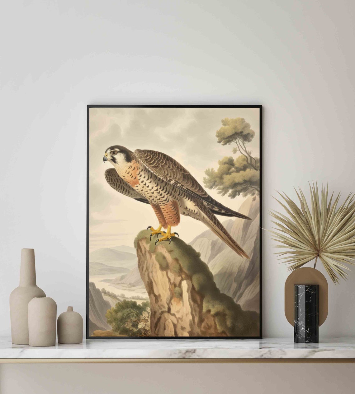 Falcon Perched On A Cliff Vintage Natural History Style Poster - Image 2