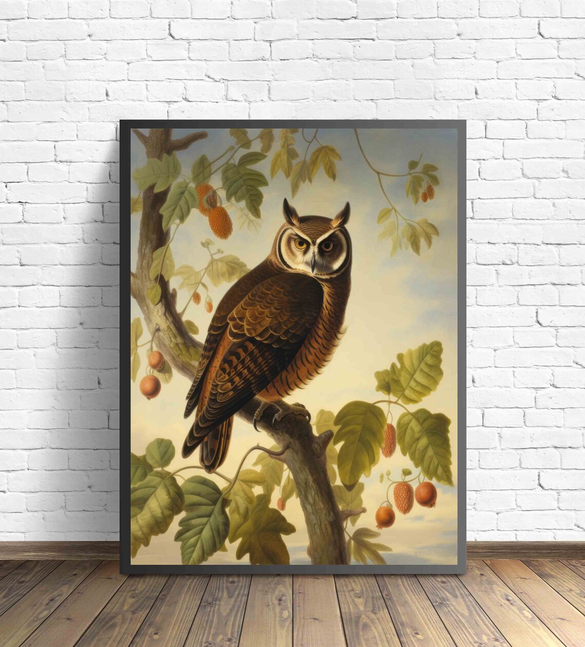 Long-Eared Owl on Oak Branch Vintage Bird Wildlife Art Poster