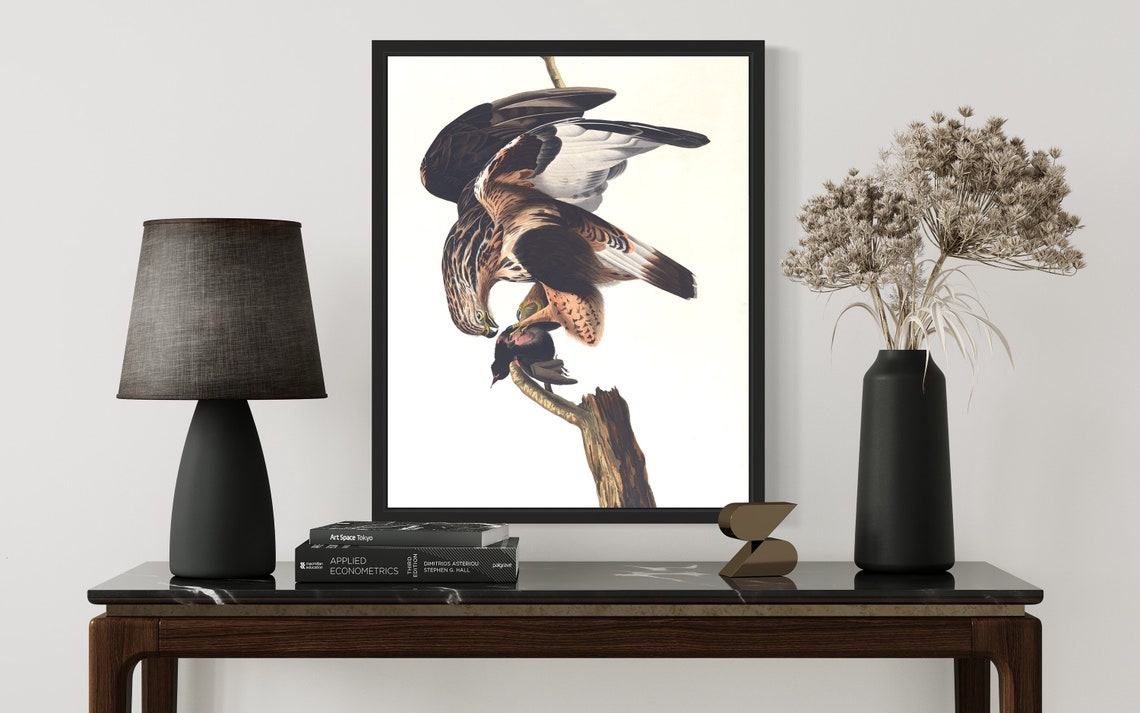 Rough Legged Hawk Mantling Caught Prey Vintage Wildlife Art Print - Image 3