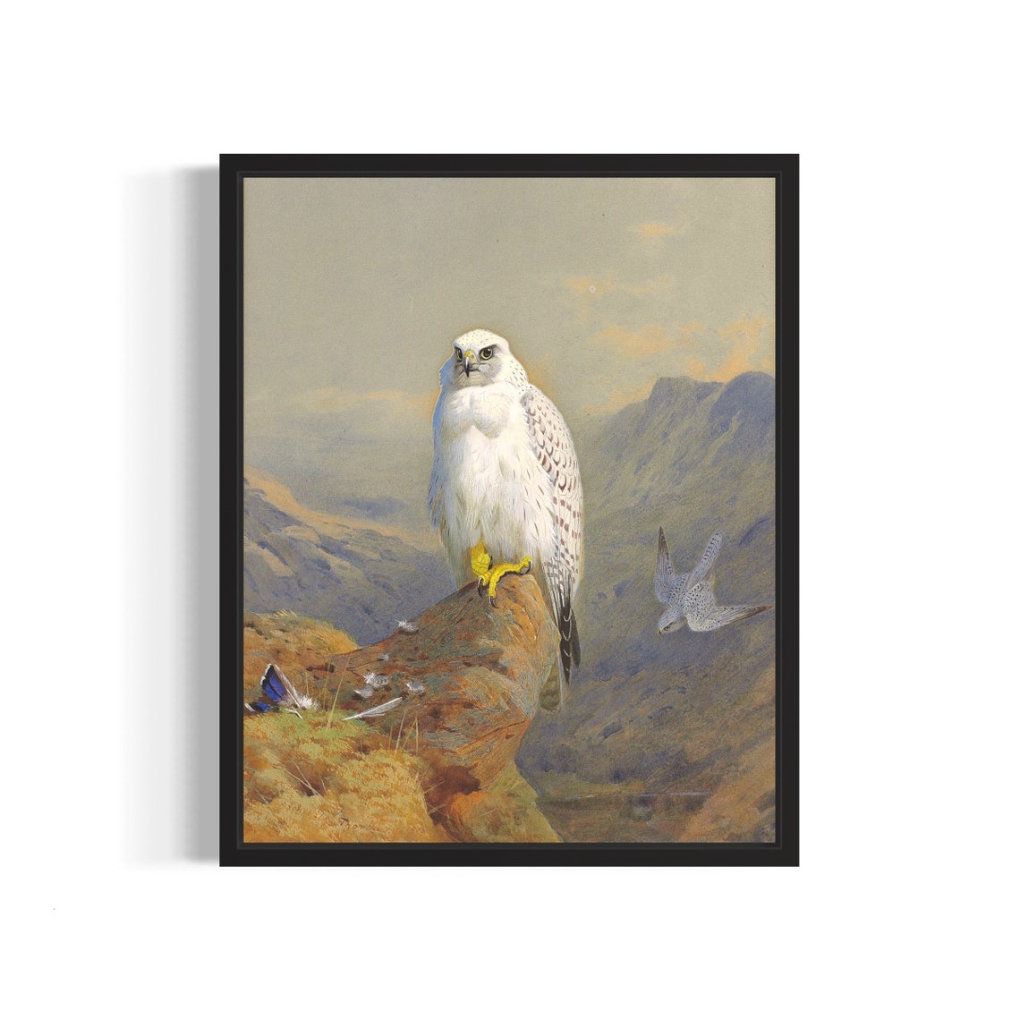 White Gyrfalcon Perched Alpine Rock Vintage Falconry Bird Print