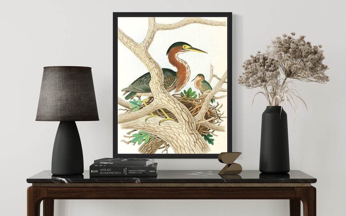 Green Heron Nesting Pair Vintage Ornithology Illustration Poster - Image 3