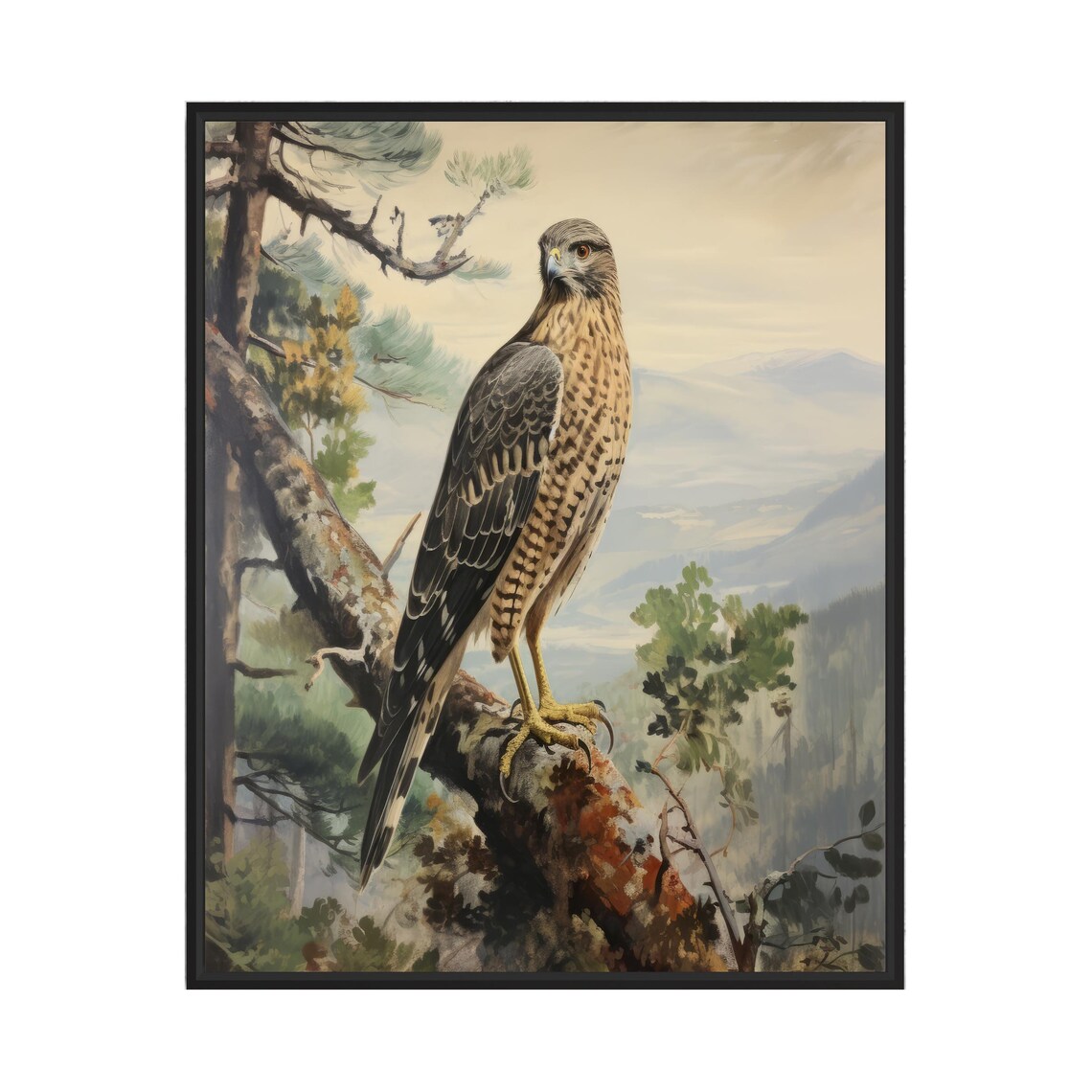Regal Cooper's Hawk Perched on a Pine Branch in a Vintage Style Poster