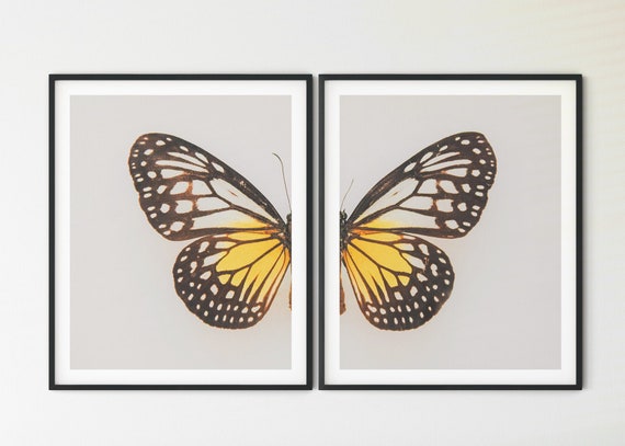 Butterfly Butterfly Wall Decor Garden Print Double Butterfly Print Butterfly Wall Hanging
