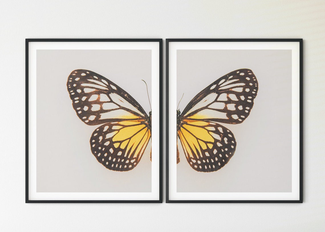 Butterfly Butterfly Wall Decor Garden Print Double Butterfly Print Butterfly Wall Hanging