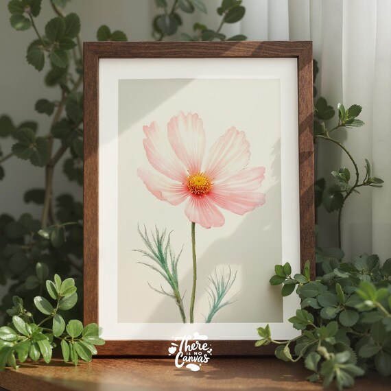 Blush Pink Cosmos Flower Delicate Watercolor Botanical Poster