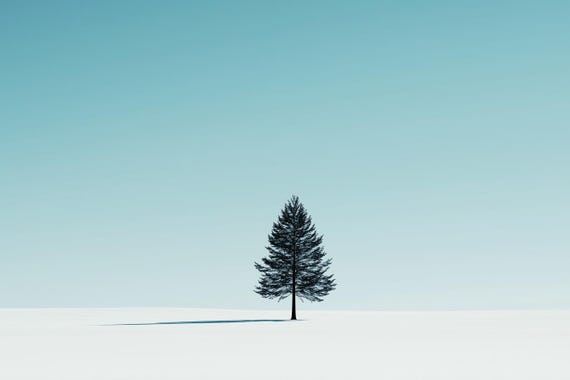 Minimalist Winter Tree Print In The Style Of Caspar David Friedrich Serene Wall Art For Home Decor