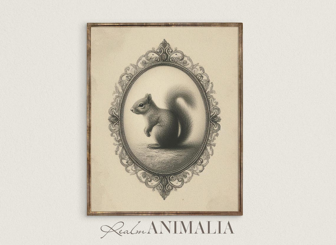 Vintage Squirrel Sketch In Ornate Oval Frame Monochrome Art Poster