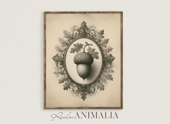 Acorn Sketch Art Print, Vintage Autumn Botanical