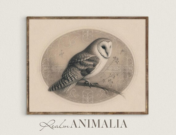 Owl Sketch Art Print Vintage Bird Illustration Animal Drawing Moody Neutral Owl Wall Art Light Cottagecore Home Decor S110
