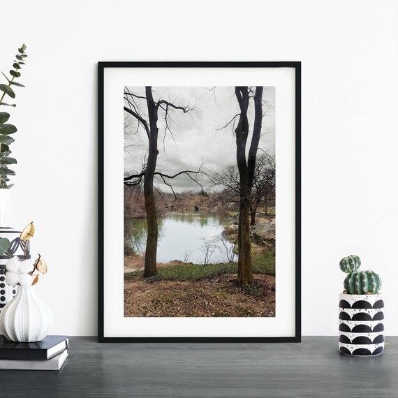 Central Park Winter Lakeside Bare Trees Manhattan New York Photo Poster