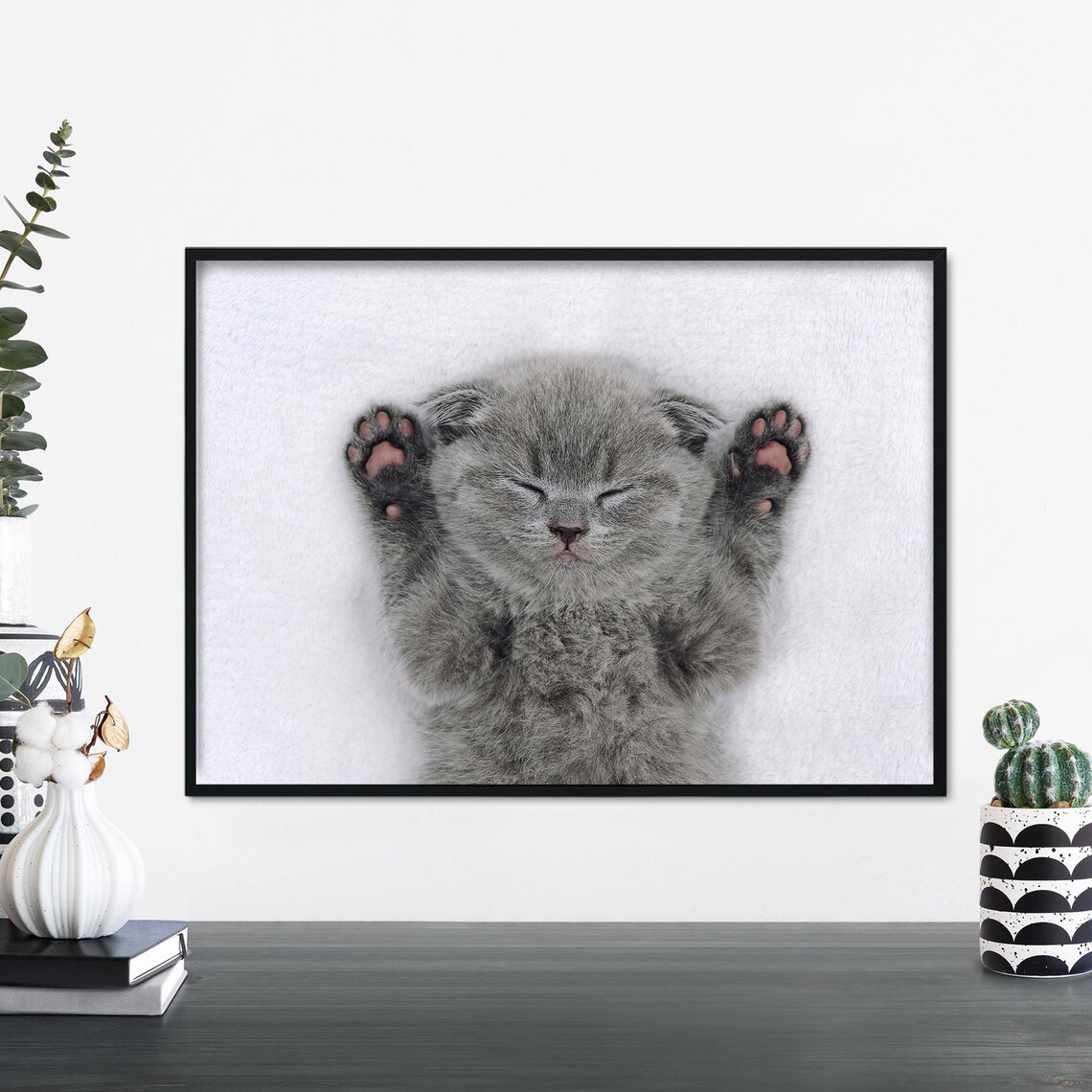 Sleepy Grey Kitten Paws Up Cute Baby Cat Photography Art Poster