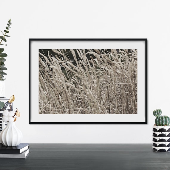 Tall Wild Grass in Warm Sepia Minimalist Nature Photo Poster
