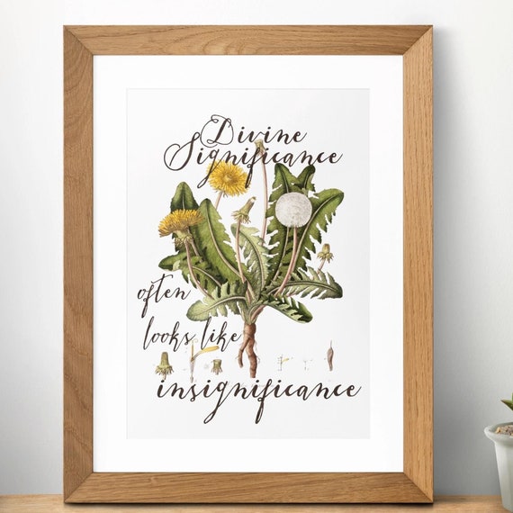 Divine Significance Often Looks Like Insignificance Inspirational Quote Dandelion Art