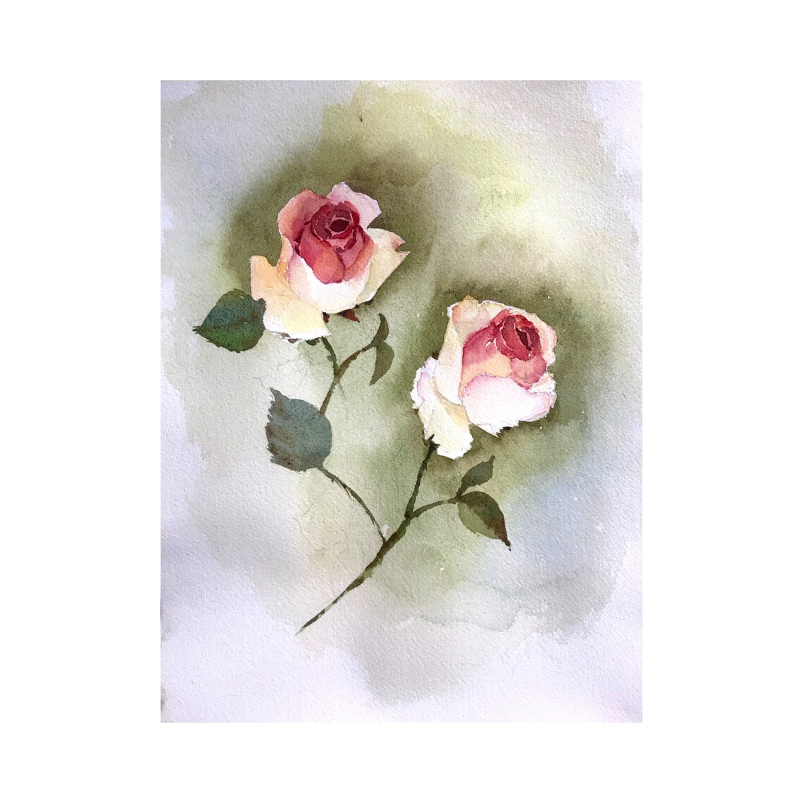 Two Blush Pink Roses Blooming Soft Green Watercolor Floral Poster