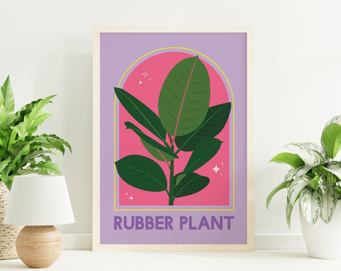 Rubber Plant Botanical Purple Pink Arch Modern Illustration Poster