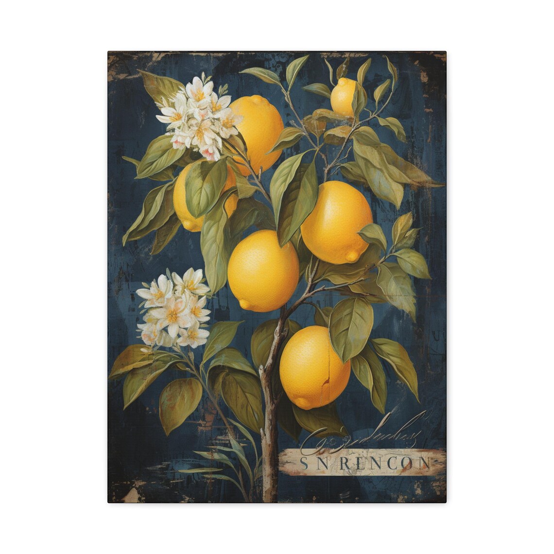 Vintage Lemon Art Print, Farmhouse Kitchen Botanical