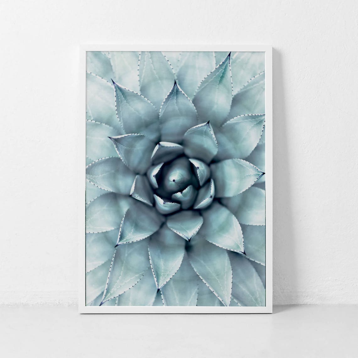 Blue Agave Succulent Top Down Botanical Photography Art Poster