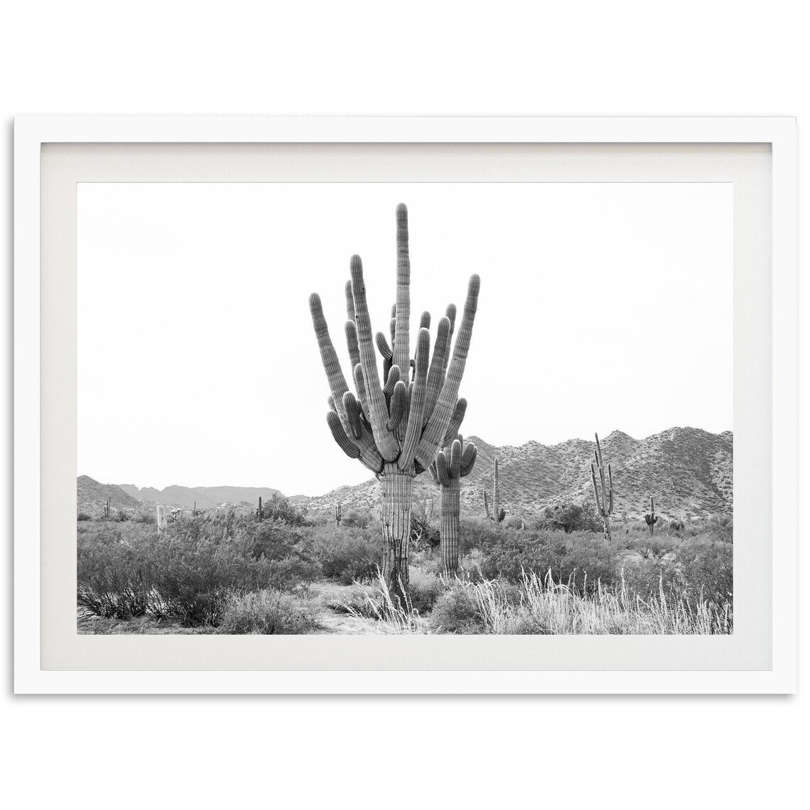 Black and White Desert Saguaro Cactus Southwest Photography Poster