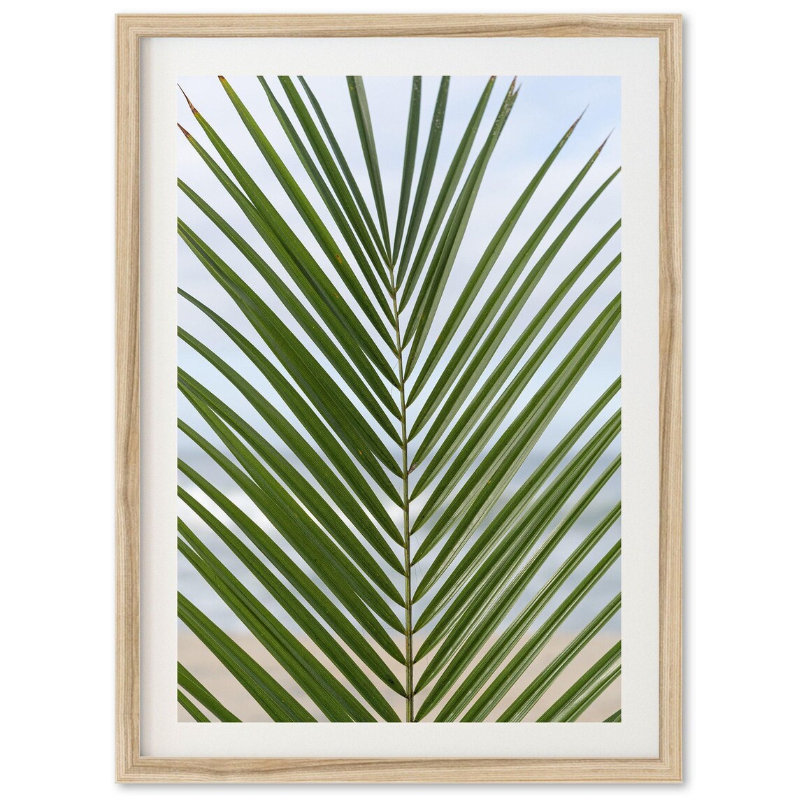 Palm Frond Close-Up Tropical Coastal Beach Photography Art Print