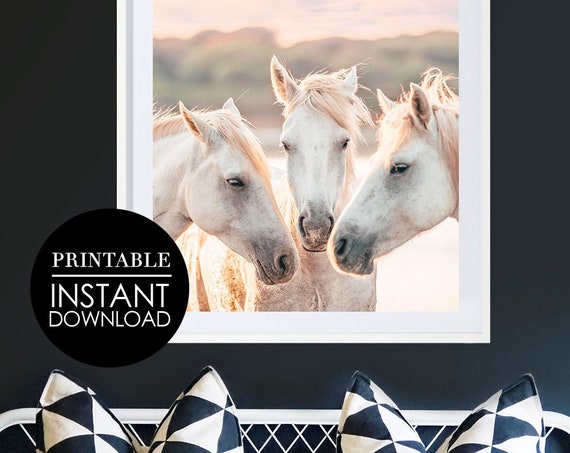 Horse Art Print Sunset Farmhouse Decor Poster Nursery Wild Horses