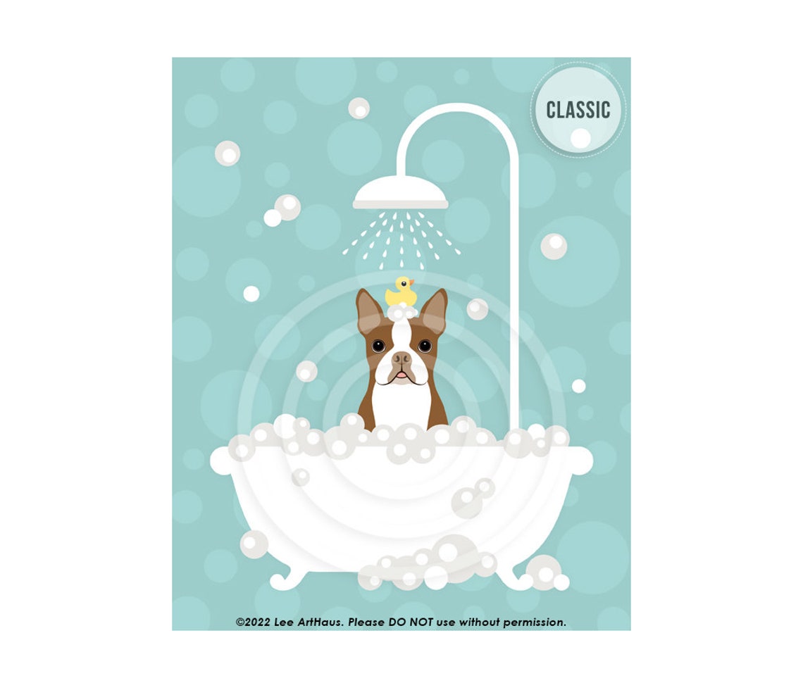 Red Boston Terrier Taking Bubble Bath Under Shower Cute Dog Poster