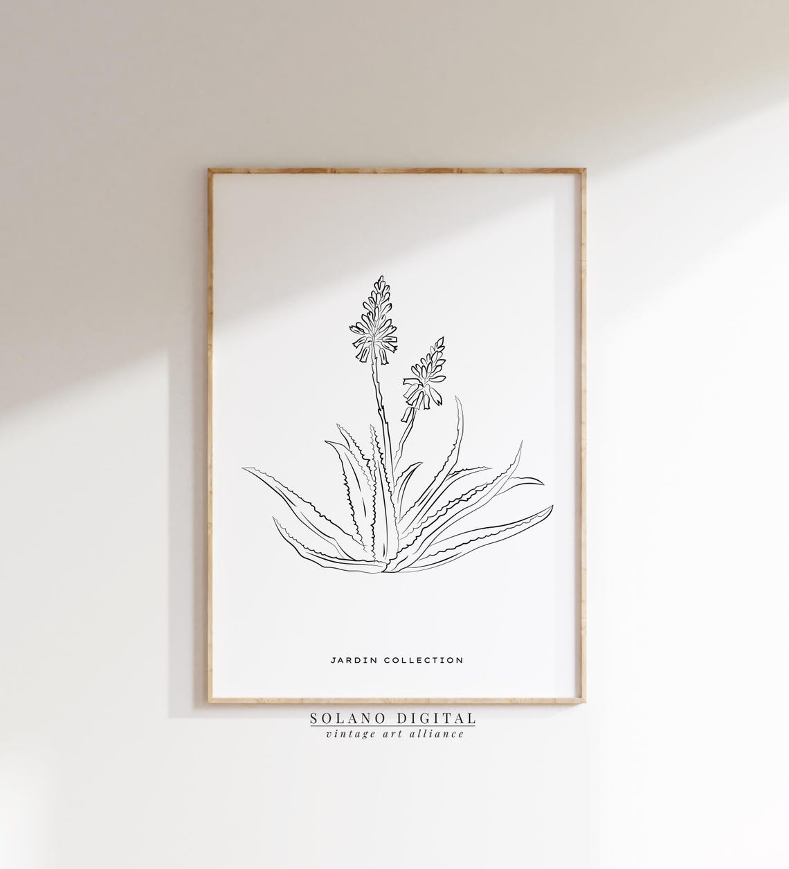 Aloe Vera Botanical Line Art Jardin Collection Plant Sketch Poster