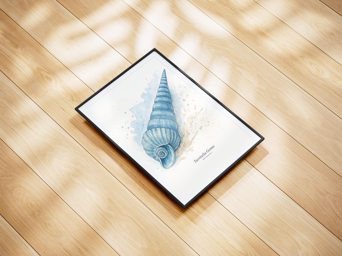 Watercolor Seashell Print, Coastal Antique Drawing - Image 2