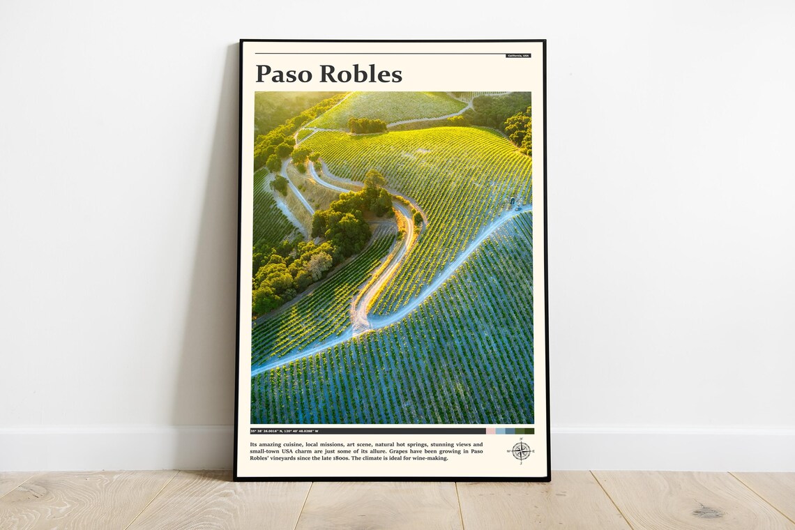 Paso Robles Vineyard Aerial Wine Country California Travel Poster