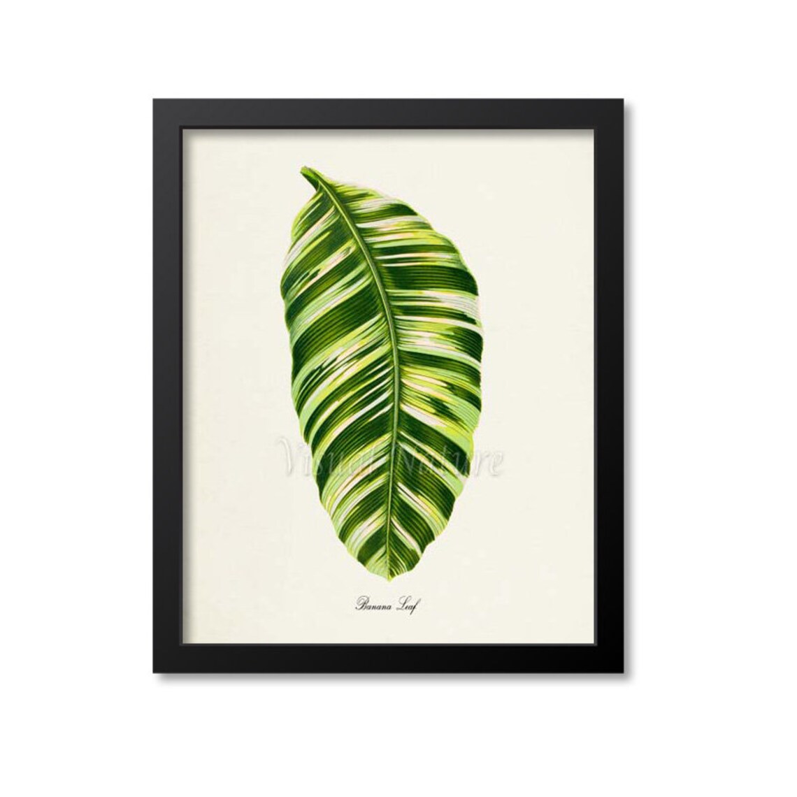 Banana Leaf Botanical Art Print, Green Leaves