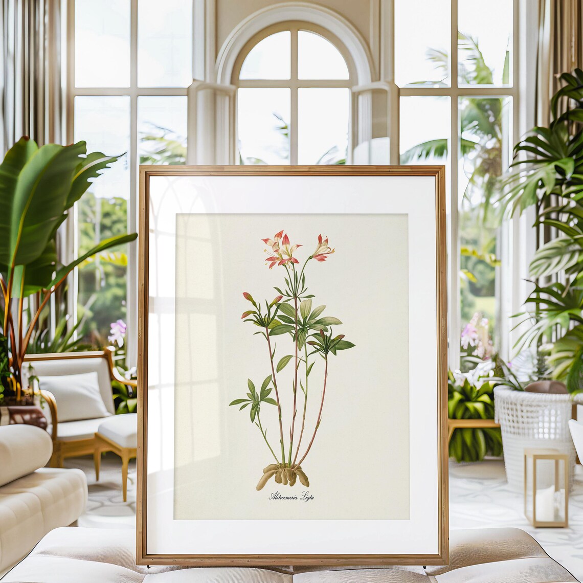 Amaryllis Botanical Art Print, Redoute-Inspired - Image 3