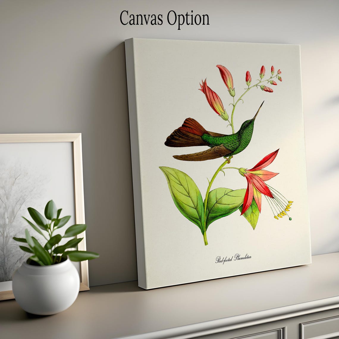 Red Footed Plumeleteer Hummingbird Print Bird Art Print Bird Art Bird Poster Flower Art Floral Garden Hummingbird Art Green Pink - Image 2