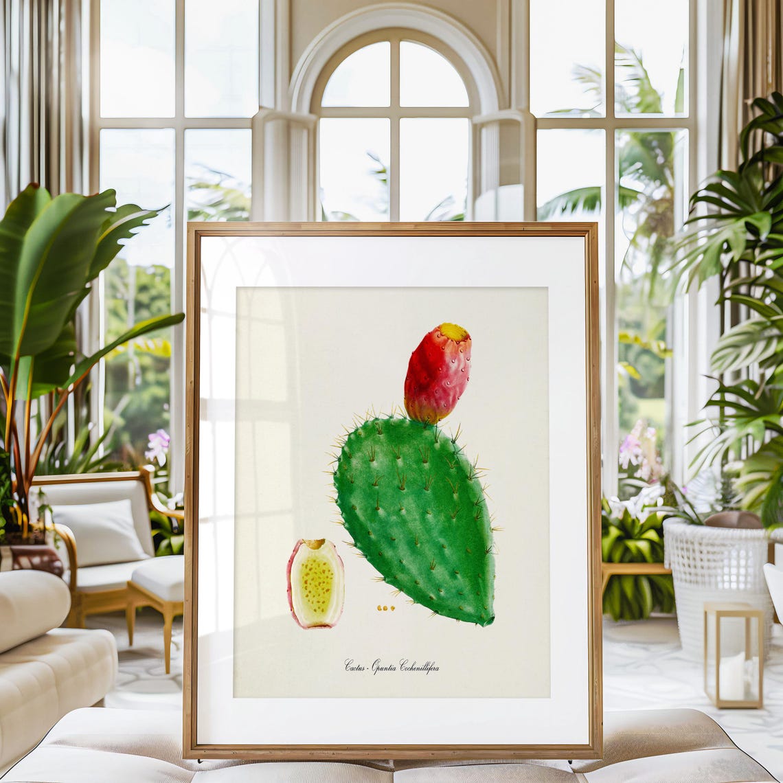 Prickly Pear Cactus Opuntia Fruit Vintage Botanical Study Poster - Image 3