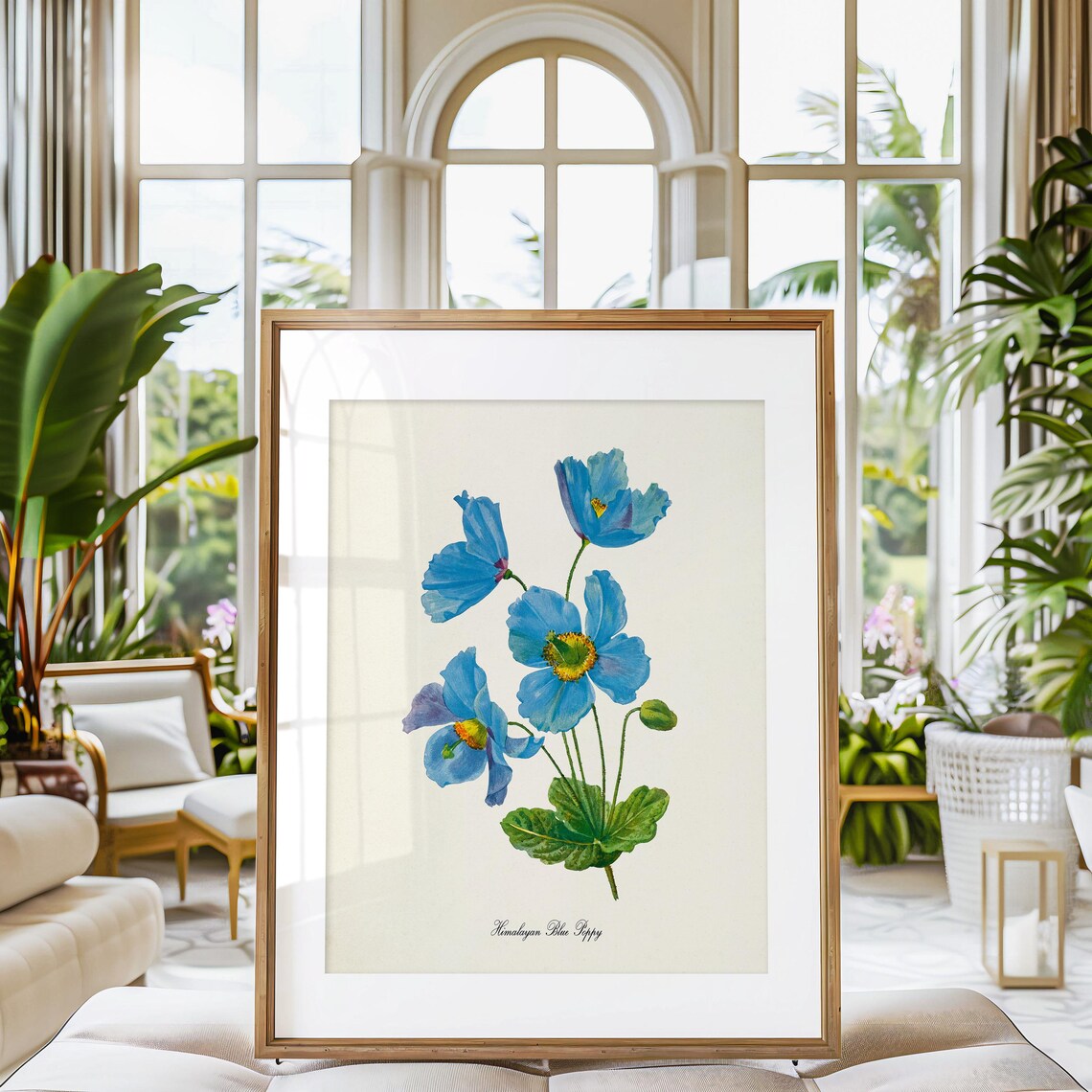 Himalayan Blue Poppy Botanical Wall Art Print - Image 3