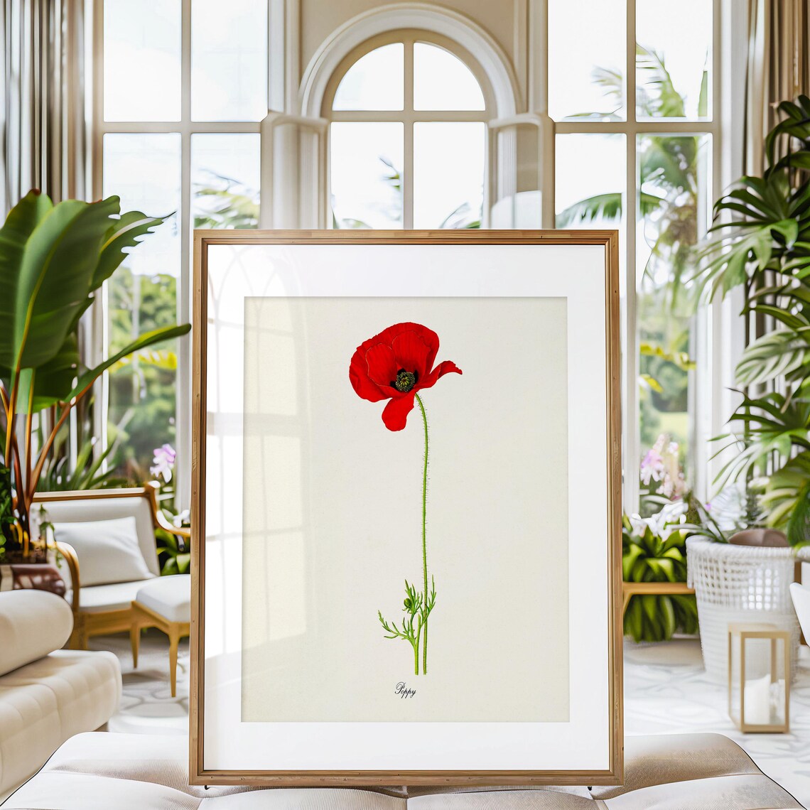 Poppy Flower Botanical Art Print, Floral Home Decor - Image 3