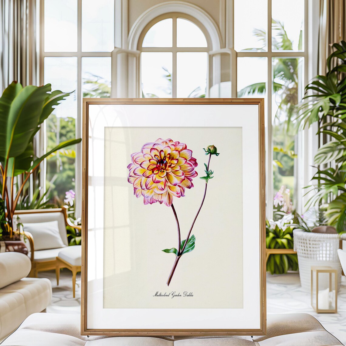 Multicolored Garden Dahlia Botanical Wall Art Print - Image 3