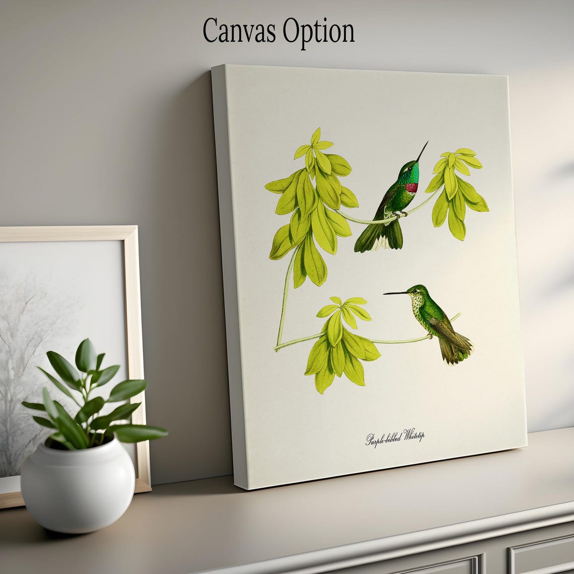 Purple Bibbed Whitetip Hummingbird Print Bird Art Print Bird Art Bird Poster Flower Art Floral Garden Hummingbird Art Green - Image 2
