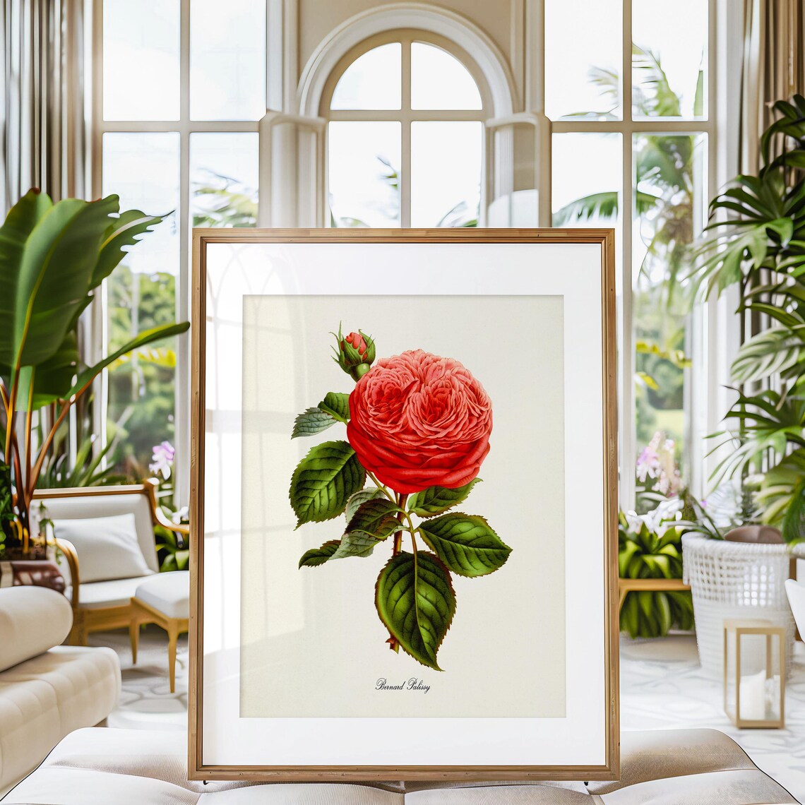 Bernard Palissy Rose Flower Botanical Art Print - Image 3
