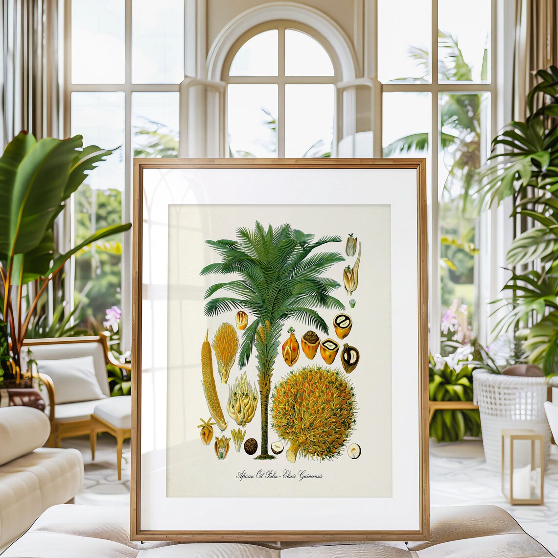African Oil Palm Tree Botanical Poster Print, Elaeis - Image 3