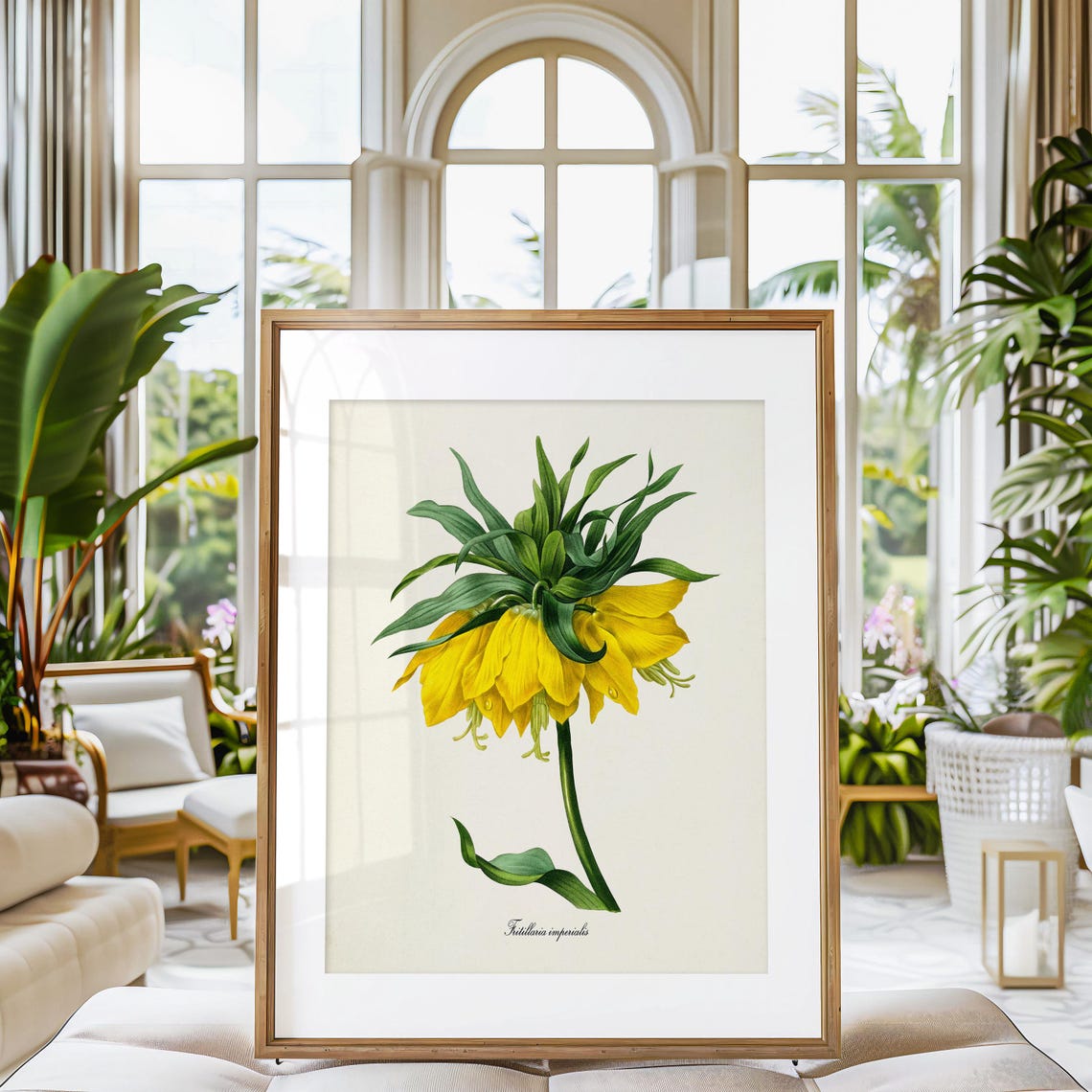 Yellow Crown Imperial Fritillaria Regal Vintage Botanical Poster - Image 3