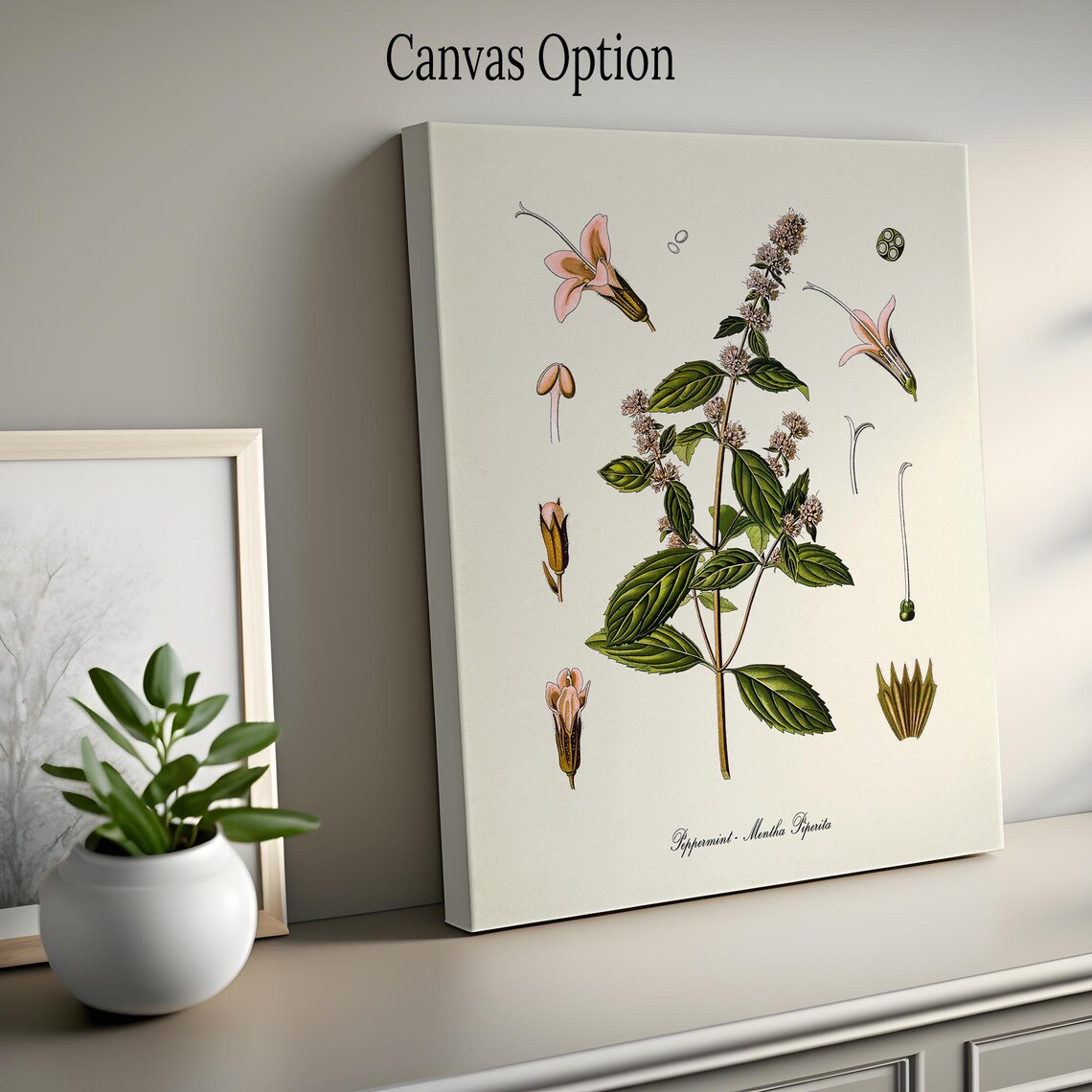 Peppermint Botanical Art Print, Kitchen Wall Decor - Image 2